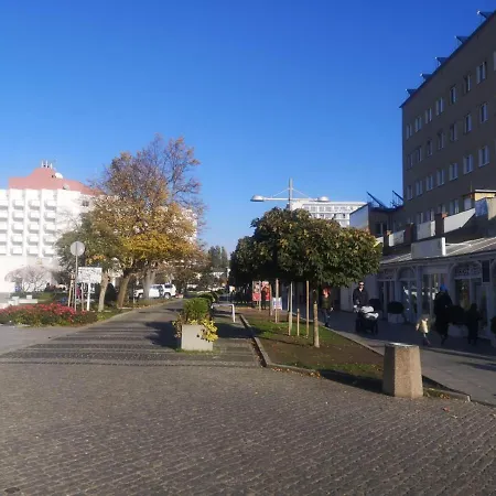 Meduza W Bel Mare Miedzyzdroje