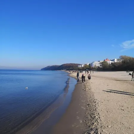 Meduza W Bel Mare *