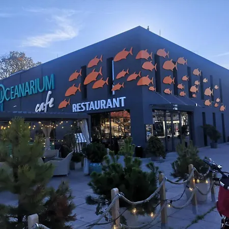 Meduza W Bel Mare * Miedzyzdroje