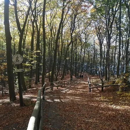 Meduza W Bel Mare * Miedzyzdroje