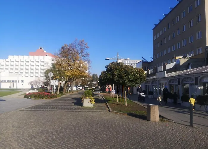 Meduza W Bel Mare מידזיזדרויה